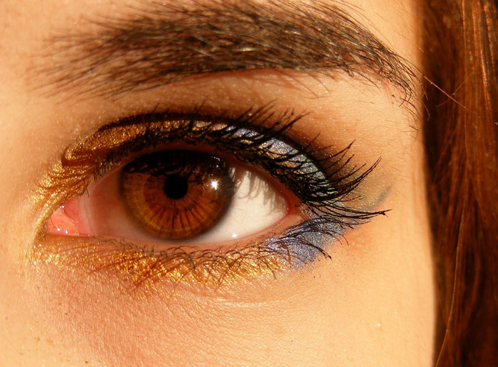 brown-brows-smartphone-woman-eyes-makeup